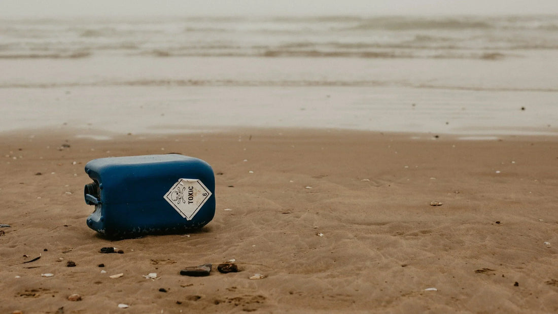 2024: The Year of the Solvent