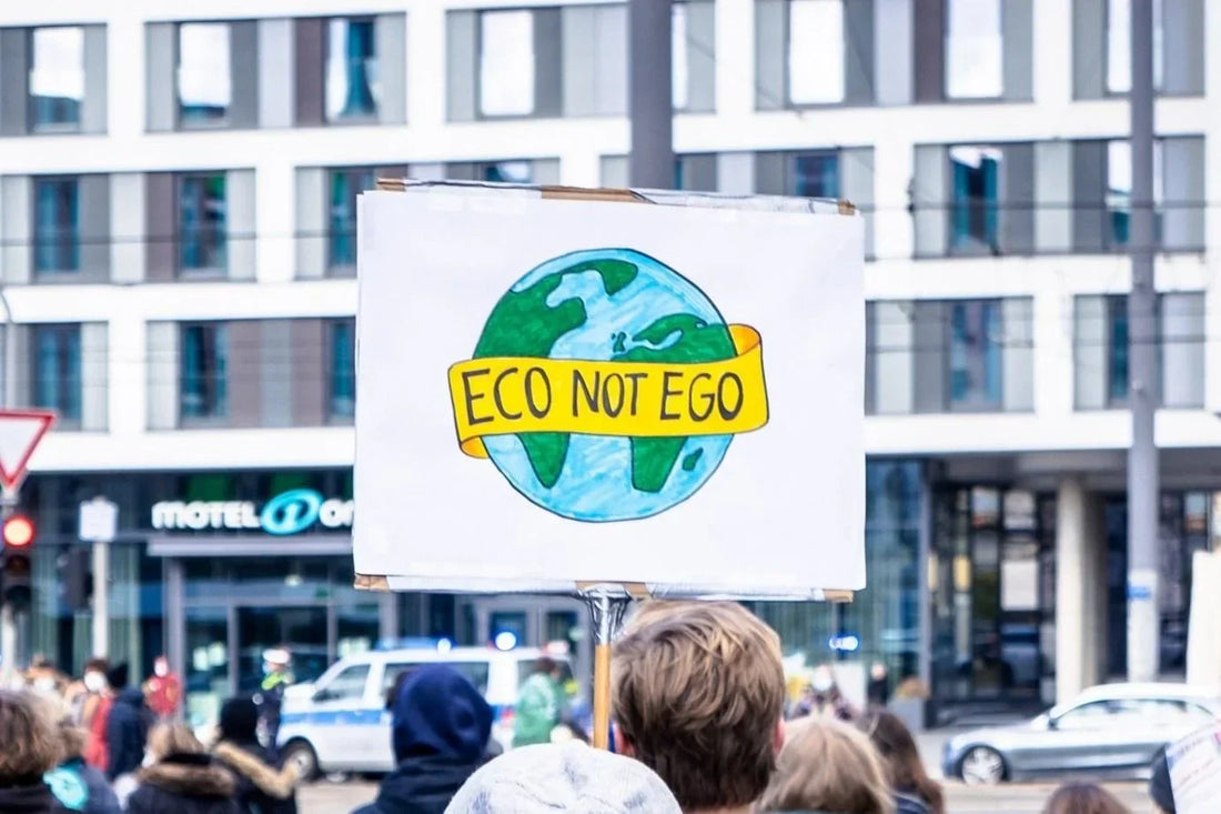 The Sustainability Disconnect